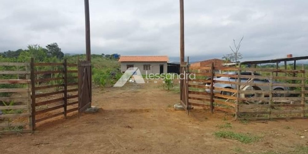 IMG-20250113-WA00333