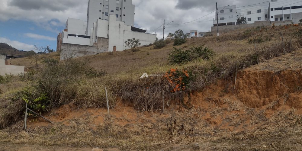 IMG_20250822_132934320_HDR