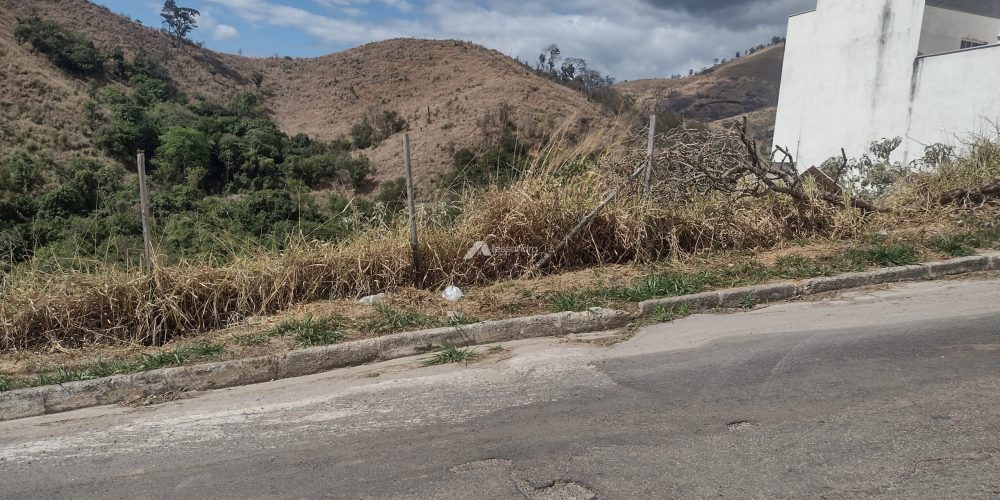 IMG_20250822_133159453_HDR