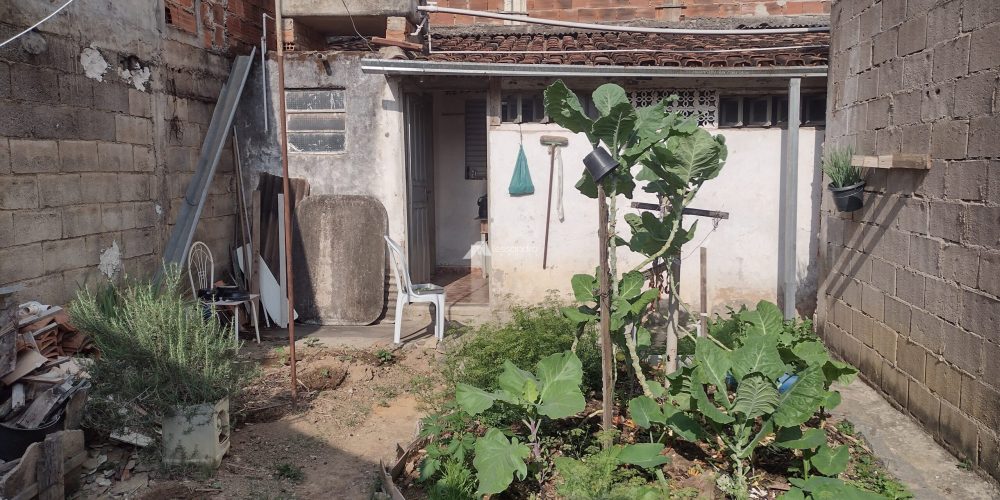 IMG_20250913_082048252_HDR