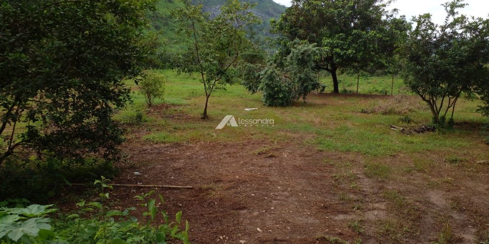 Imagem do WhatsApp de 2024-12-06 à(s) 14.18.21_24cb02c0