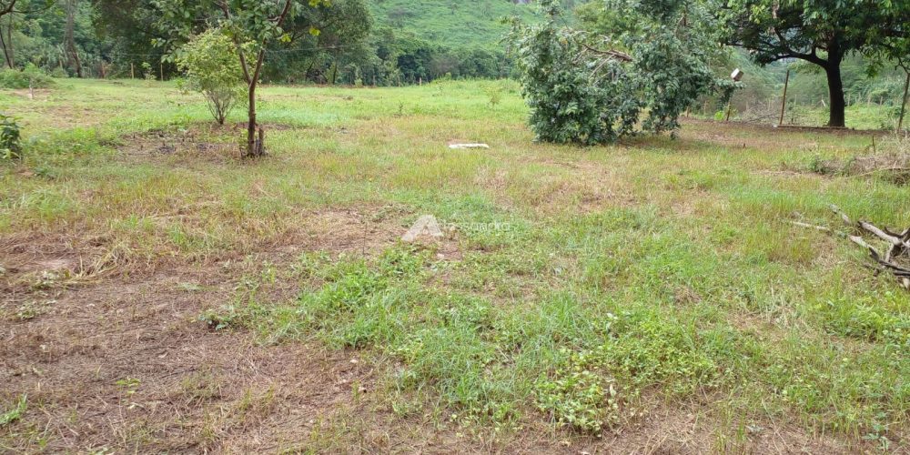 Imagem do WhatsApp de 2024-12-06 à(s) 14.18.21_42bab6c0