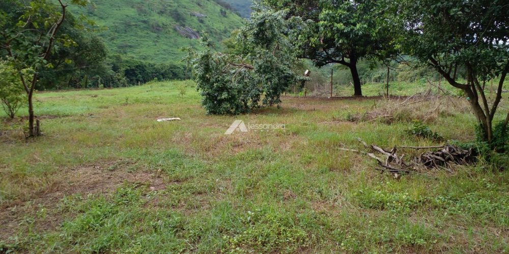 Imagem do WhatsApp de 2024-12-06 à(s) 14.18.21_55844305