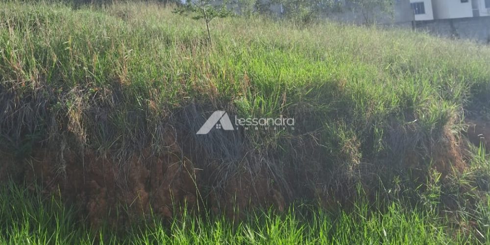 Imagem do WhatsApp de 2025-05-22 à(s) 16.04.32_d534343b