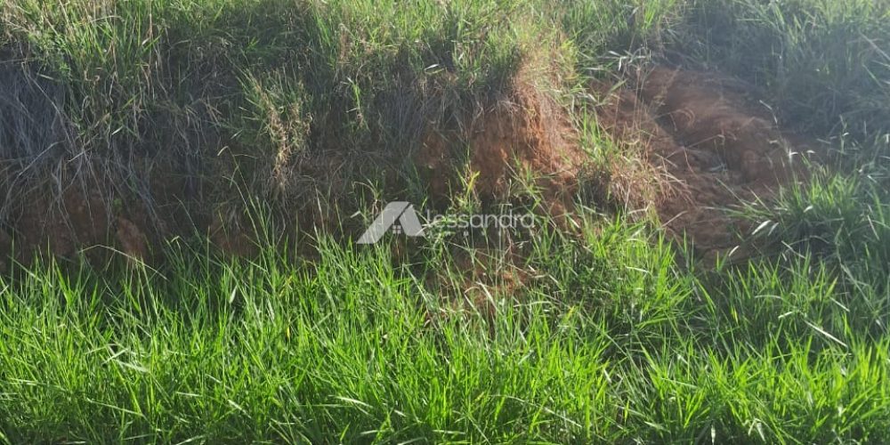 Imagem do WhatsApp de 2025-05-22 à(s) 16.04.33_193067ed