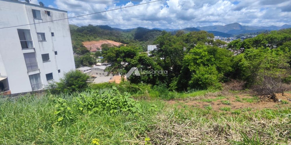 WhatsApp Image 2026-01-30 at 14.39.42