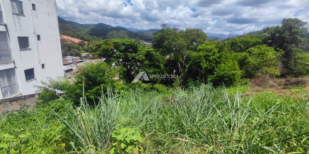 WhatsApp Image 2026-01-30 at 14.39.4222