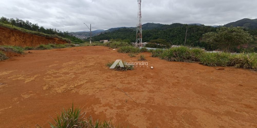 WhatsApp Image 2026-02-13 at 16.41.54 (2)