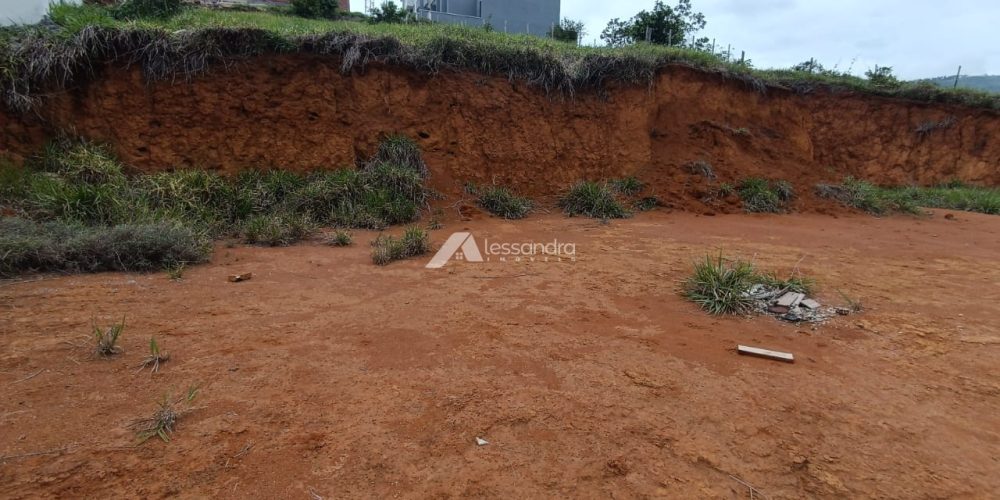 WhatsApp Image 2026-02-13 at 16.41.54 (3)