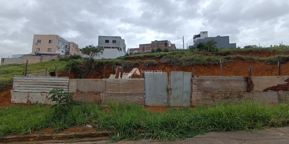 WhatsApp Image 2026-02-13 at 16.41.55 (1)