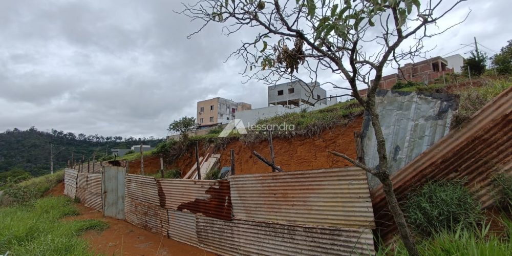 WhatsApp Image 2026-02-13 at 16.41.55