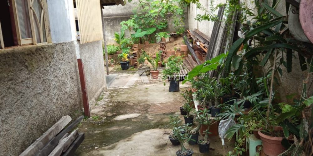 WhatsApp Image 2026-03-04 at 15.33.50