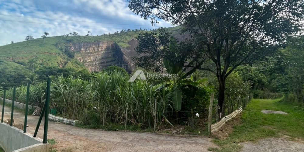 WhatsApp Image 2026-03-12 at 14.41.13 1313