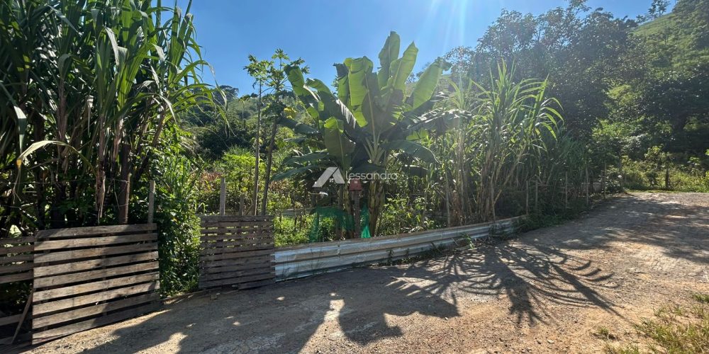 WhatsApp Image 2026-03-12 at 14.41.13 (2)