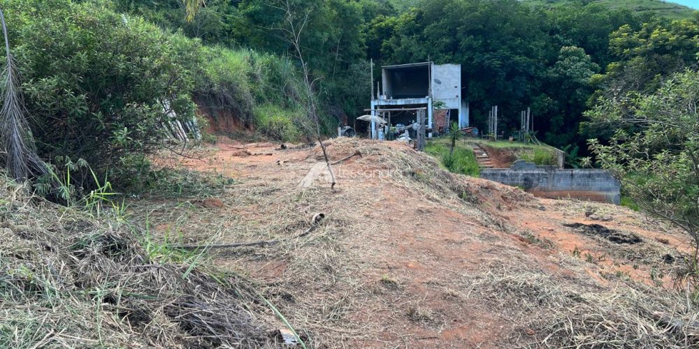 WhatsApp Image 2026-03-16 at 10.53.17