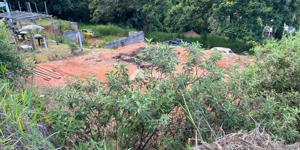 WhatsApp Image 2026-03-16 at 10.53.18 (1)