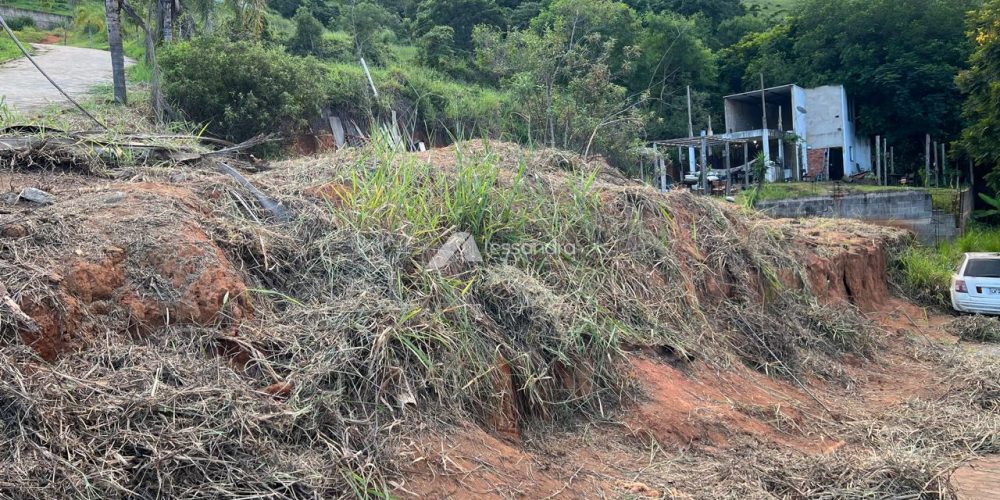 WhatsApp Image 2026-03-16 at 10.53.18