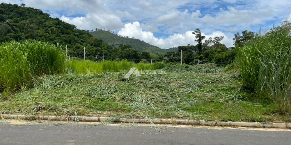 WhatsApp Image 2026-04-08 at 15.45.52 (1)