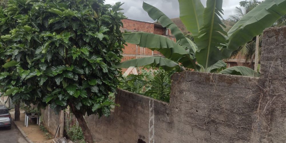 photo_2025-10-13_15-10-46